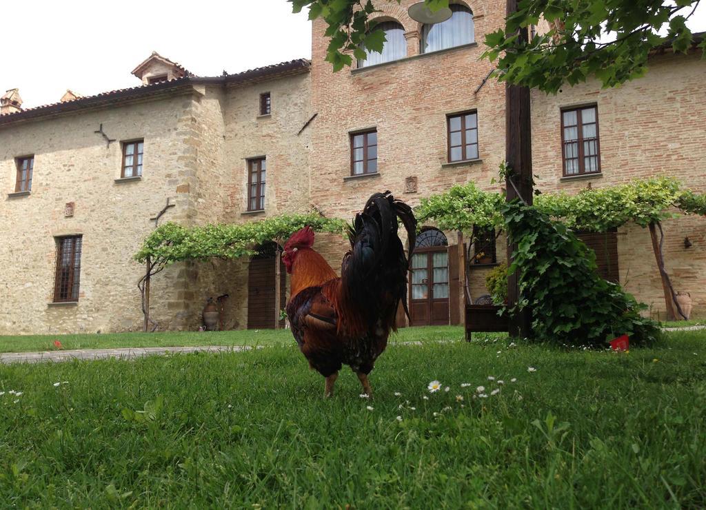Residenza D'Epoca Il Biribino Hotel Citta di Castello Luaran gambar